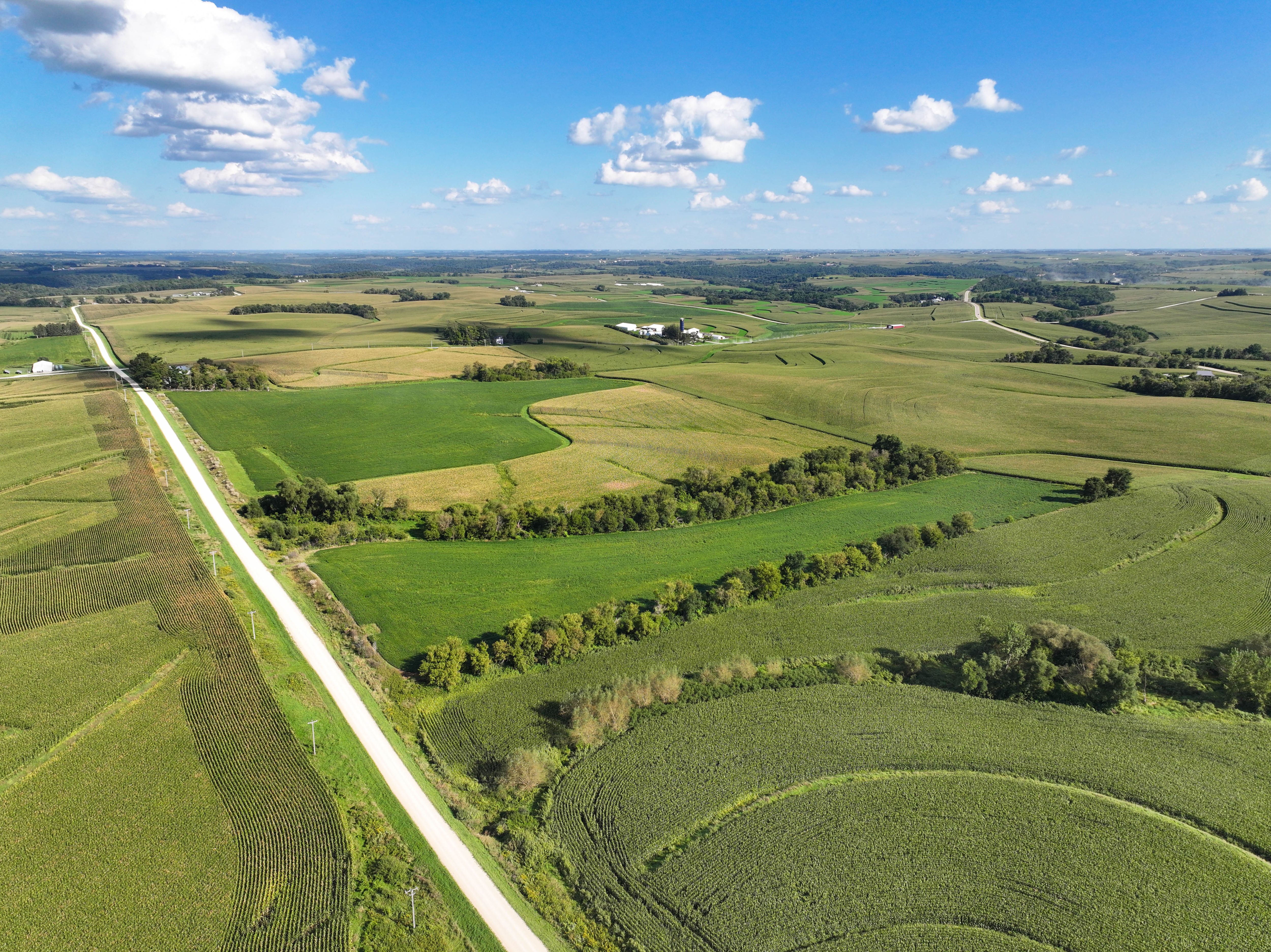 Listing Photo: 3-Allamakee County Land Auction